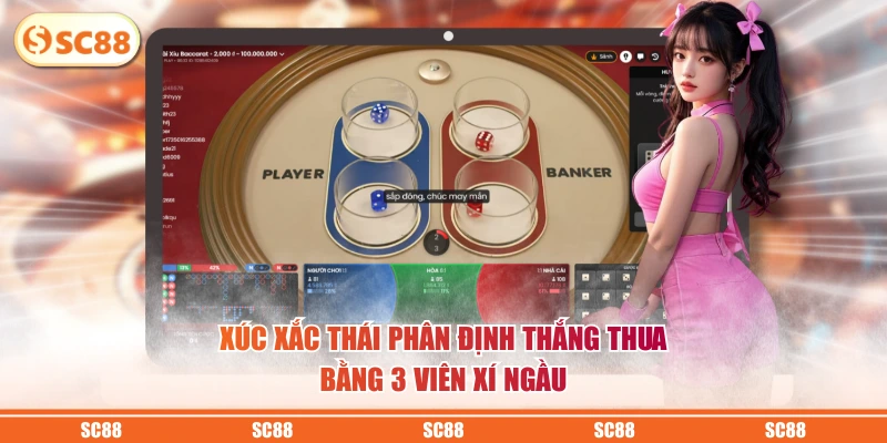 Học Luật Xúc Xắc Thái Cùng Bí Kíp Soi Cầu Hay Dễ Thắng 3 Xúc xắc Thái phân định thắng thua bằng 3 viên xí ngầu